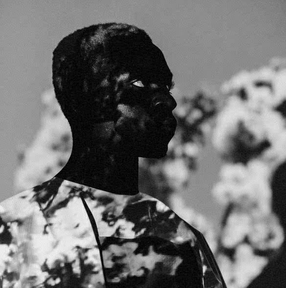 Alive di Daniel Adomako: testo, traduzione e video