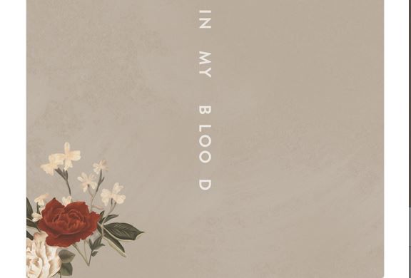 In my blood di Shawn Mendes: testo, traduzione e audio