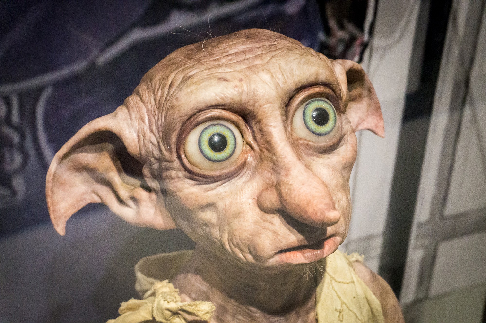 Harry Potter: 8 curiosità su Dobby