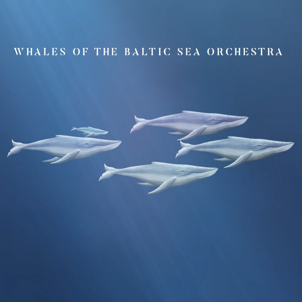Whales of the Baltic Sea Orchestra, il nuovo video tratto da un brano di Desdemona