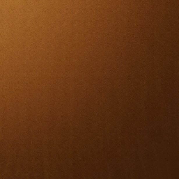 Tutto quello che c’è da sapere sul rossetto bronzo
