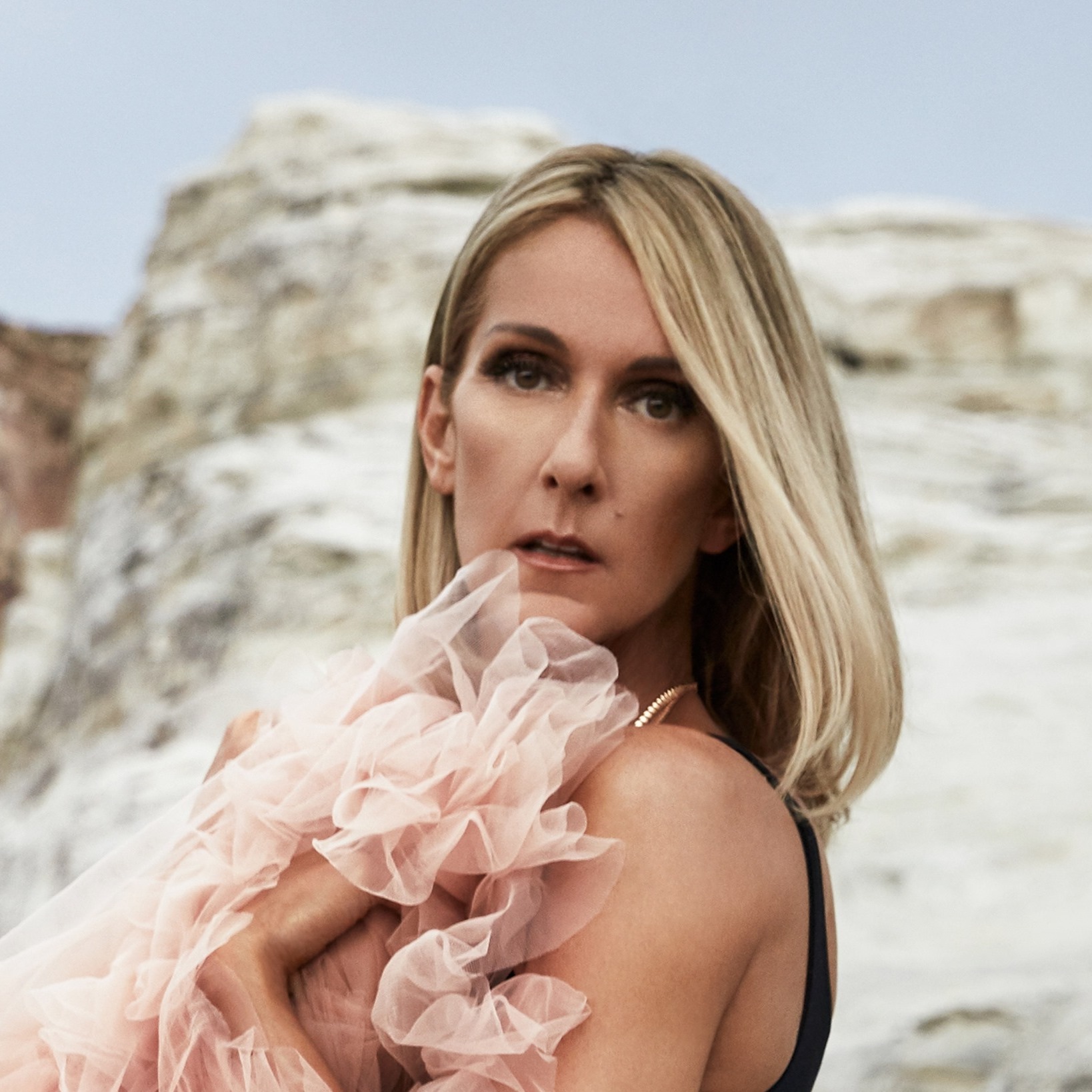 Celine Dion in carrozzina: il video bufala sulle sue condizioni di salute indigna la Rete